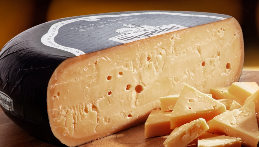 Treur Kaas, Dutch Supplier For Every Cheese Specialist! - Xtra Food ...