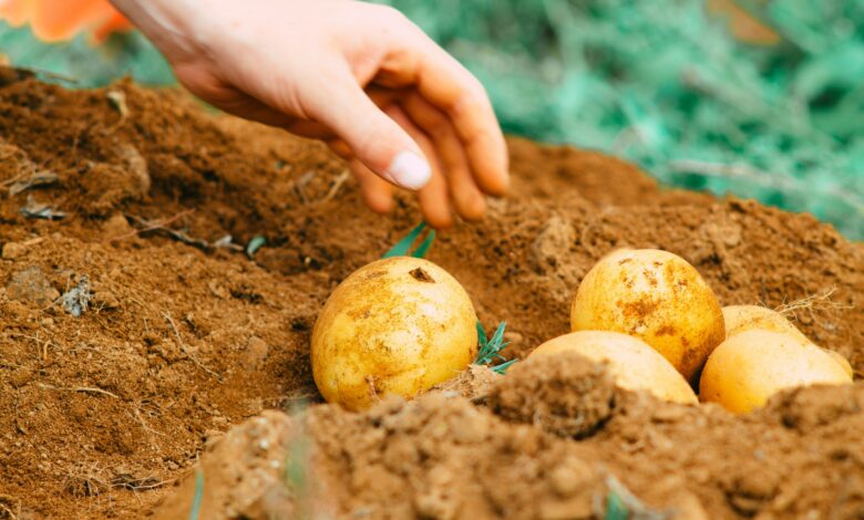 electric crop management